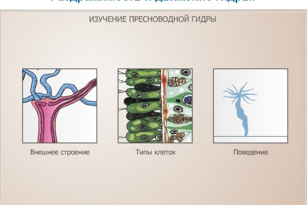 Кракен правильная