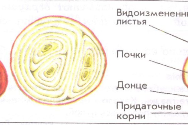 Украли аккаунт на кракене даркнет