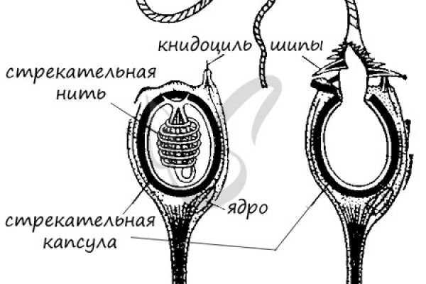 Кракен сайт kr2web