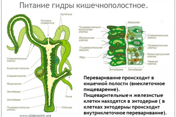 Дарк маркетплейс кракен