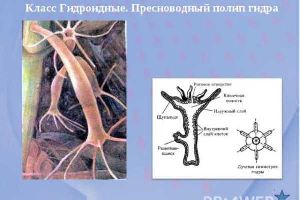 Как восстановить аккаунт в кракен