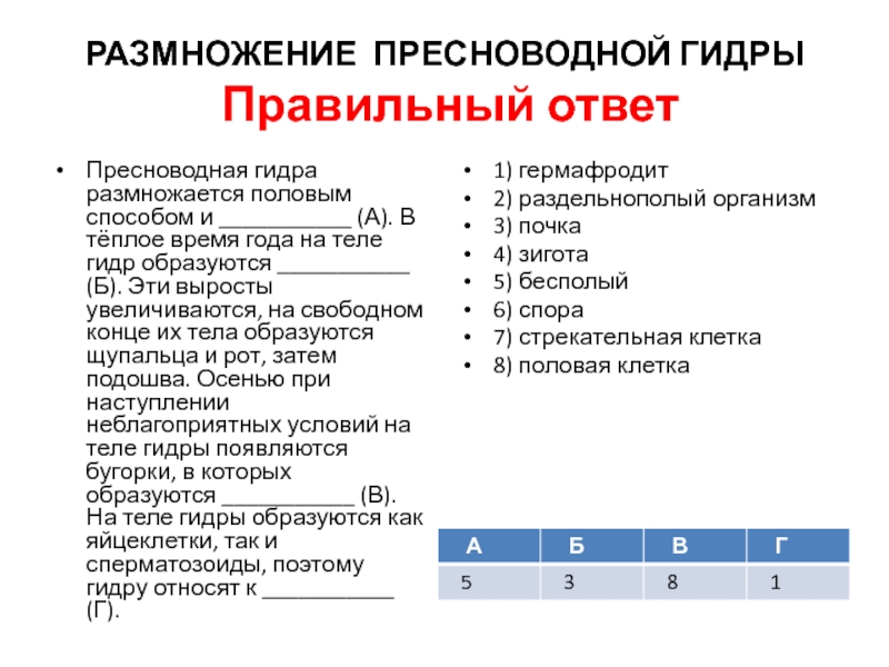 Как зарегистрироваться на сайте кракен